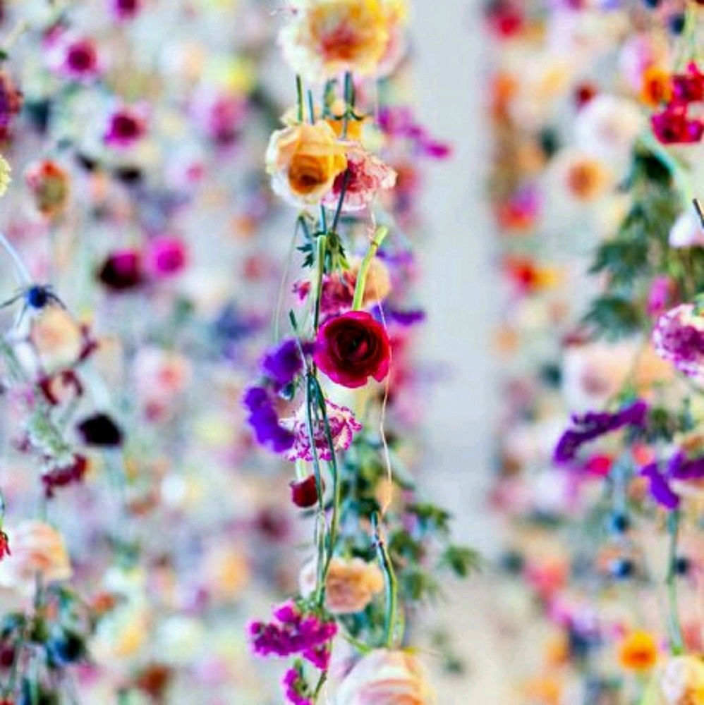 Meet your Posher, Leah